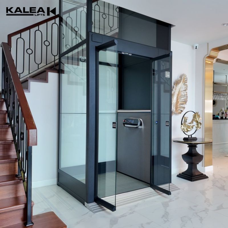Thang máy trục vít Kalea phù hợp nhà phố và biệt thự thấp tầng