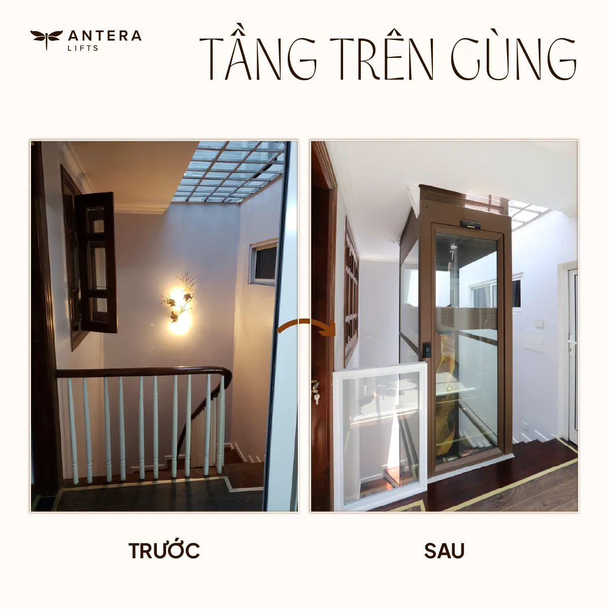 Tầng 1 sau khi cải tạo thang bộ và lắp đặt thang máy kính Antera Lifts Z90.